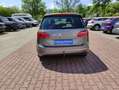 Volkswagen Golf Sportsvan Golf SV Allstar 1.6 TDI+110Ps+AHZV+PDC+Bi-Xenon+ Gris - thumbnail 18