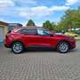Ford Kuga Titanium Automatik mit Technologiepaket Rot - thumbnail 7