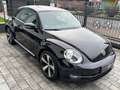 Volkswagen Beetle Lim. Design /PDC/SHZ/TEMPOMAT Schwarz - thumbnail 3