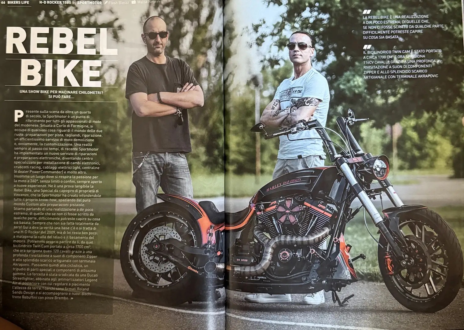 Harley-Davidson Softail special - 1