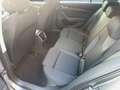 Skoda Octavia Essence TSI Grau - thumbnail 11