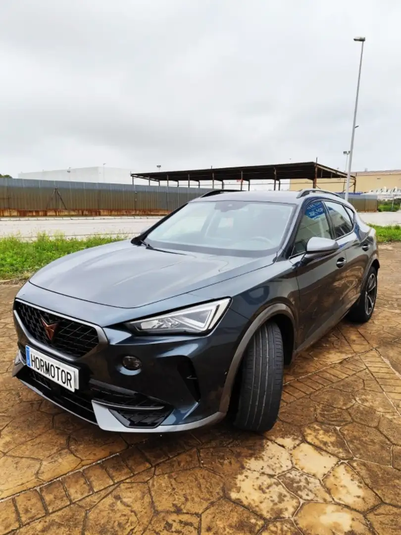 CUPRA Formentor 1.5 TSI 150 Gris - 1