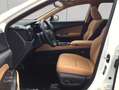 Lexus NX350h 4x4 Luxury Line + Panorama Modell2026 Weiß - thumbnail 8