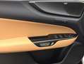Lexus NX350h 4x4 Luxury Line + Panorama Modell2026 Weiß - thumbnail 14