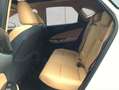 Lexus NX350h 4x4 Luxury Line + Panorama Modell2026 Weiß - thumbnail 15