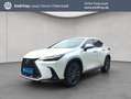 Lexus NX350h 4x4 Luxury Line + Panorama Modell2026 Blanco - thumbnail 1