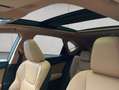 Lexus NX350h 4x4 Luxury Line + Panorama Modell2026 Weiß - thumbnail 13
