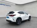Lexus NX350h 4x4 Luxury Line + Panorama Modell2026 Weiß - thumbnail 4