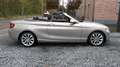 BMW 220 dA CABRIO 184PK AUTOMAAT M17 55DKM 12M GAR GOLD Szürke - thumbnail 4