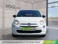 Fiat 500 FireFly Hybrid 70 Cult Weiß - thumbnail 6