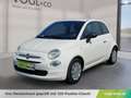 Fiat 500 FireFly Hybrid 70 Cult Weiß - thumbnail 1