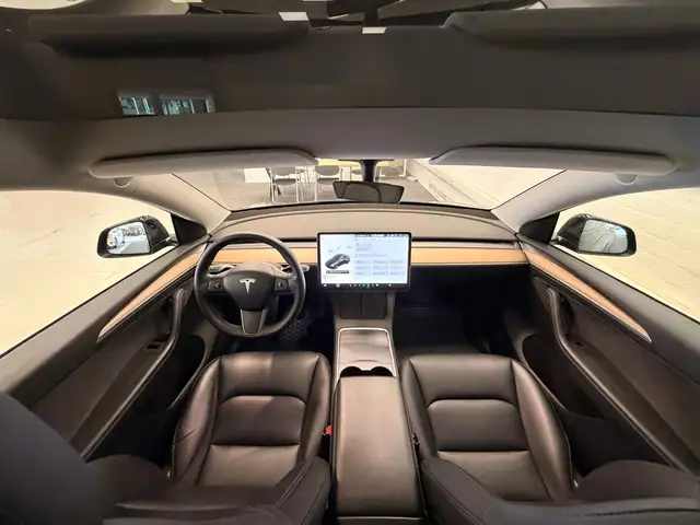 Tesla Model Y view 12