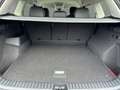 Volkswagen Tayron Life TDI DSG Violett - thumbnail 4