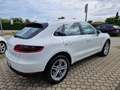 Porsche Macan 2.0 Blanc - thumbnail 26