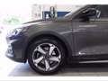 Ford Focus 1.5 EcoBlue 120 CV automatico SW Active Grigio - thumbnail 7