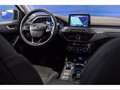Ford Focus 1.5 EcoBlue 120 CV automatico SW Active Grigio - thumbnail 10