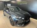 CUPRA Formentor Formentor 2020 2.0 tdi 4drive 150cv dsg Gris - thumbnail 6