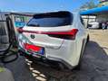 Lexus UX 200 UX 2019250h 2.0 Premium 2wd cvt my20 Bianco - thumbnail 8