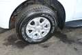 Ford Ranger Ranger Doppelkabine XLT 4x4 Netto:21.583.-€ 171... Weiß - thumbnail 11