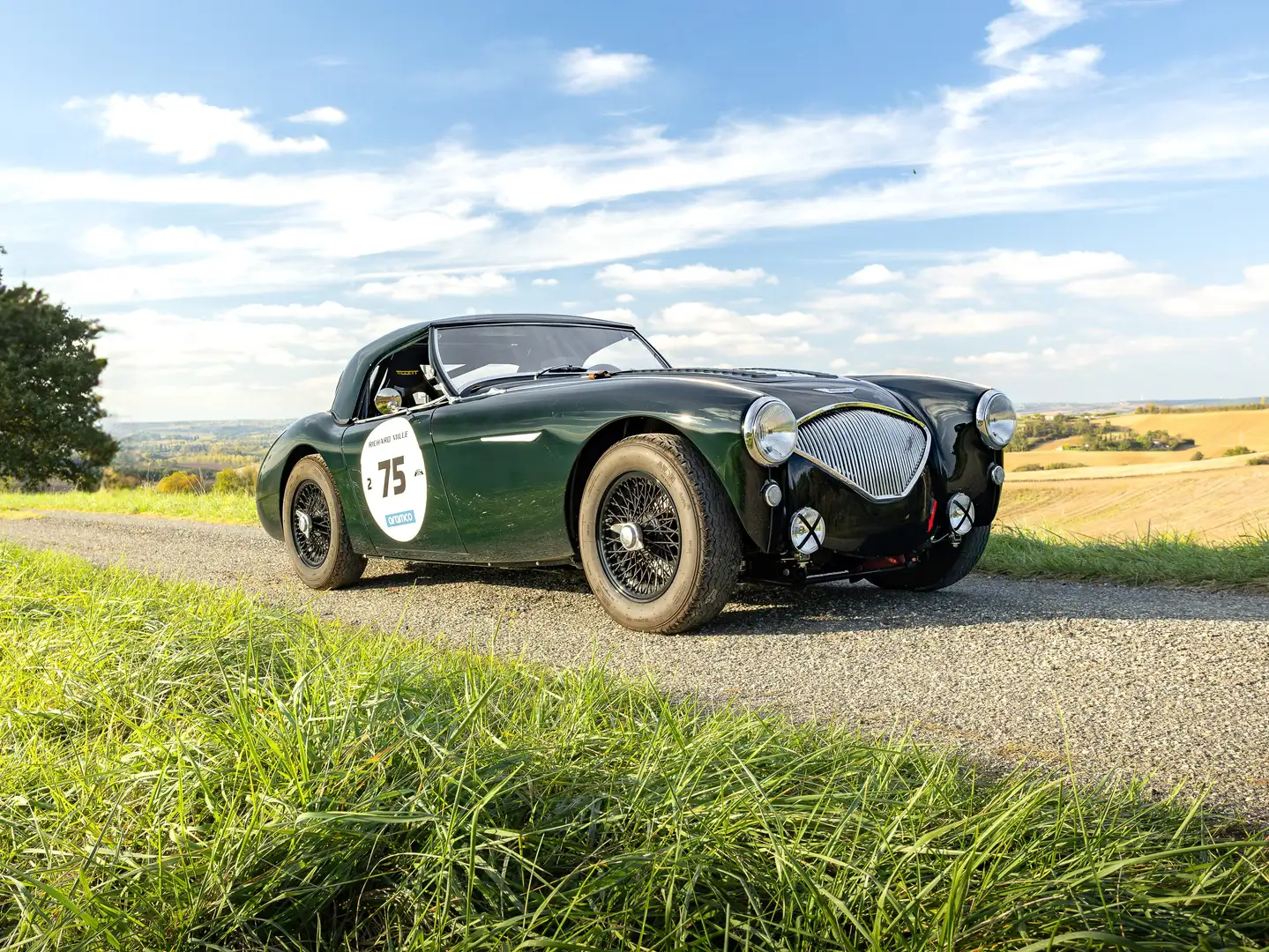 Austin-Healey 100 BN2 FIA Verde - 1
