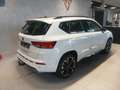 CUPRA Ateca 1.5 TSI DSG 150 Weiß - thumbnail 5