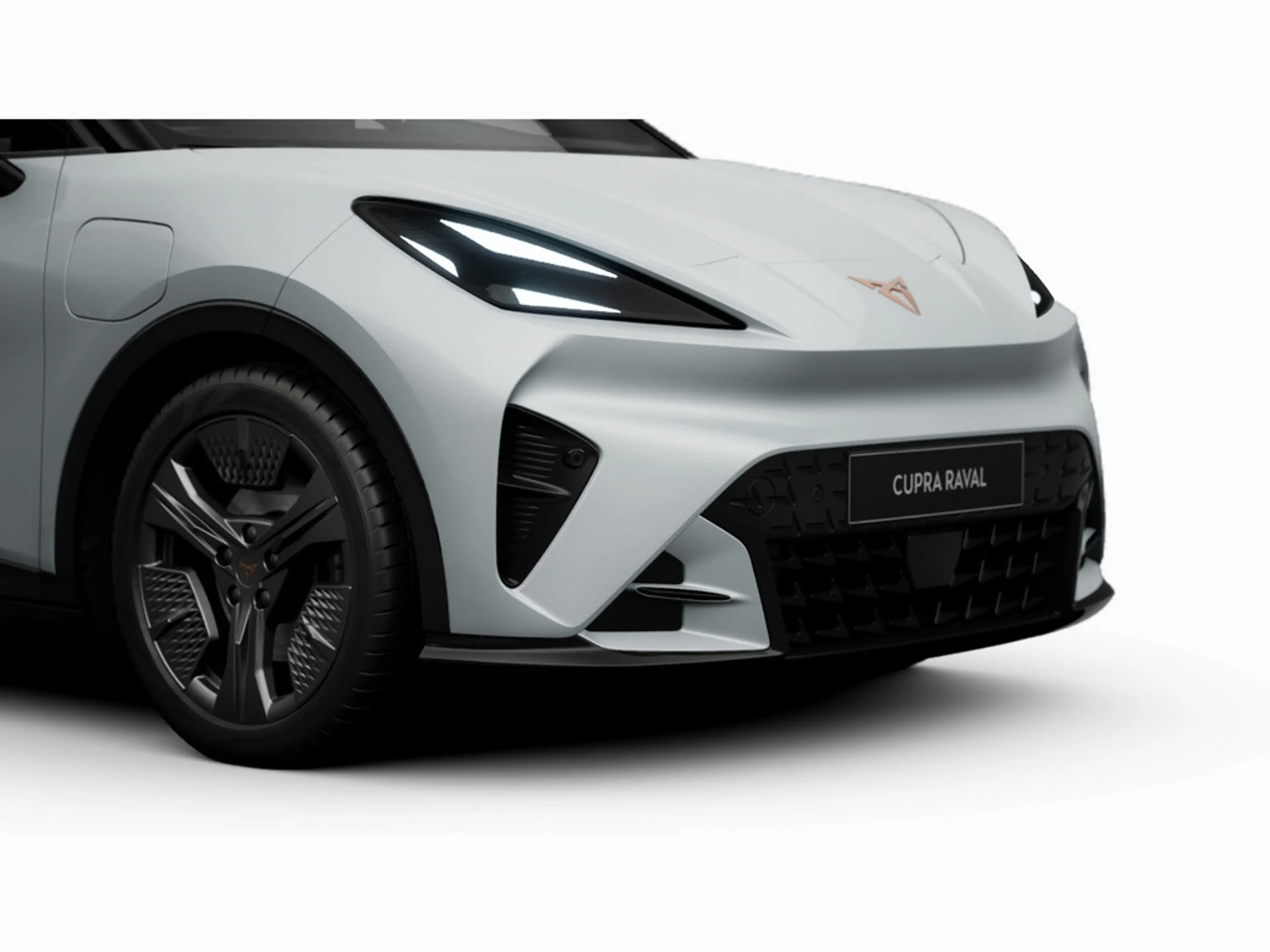 CUPRA Raval Endurance LED KAM KEYLESS MEMORY ACC — photo 11