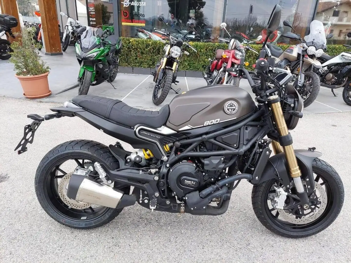 Benelli Leoncino 800 - 2