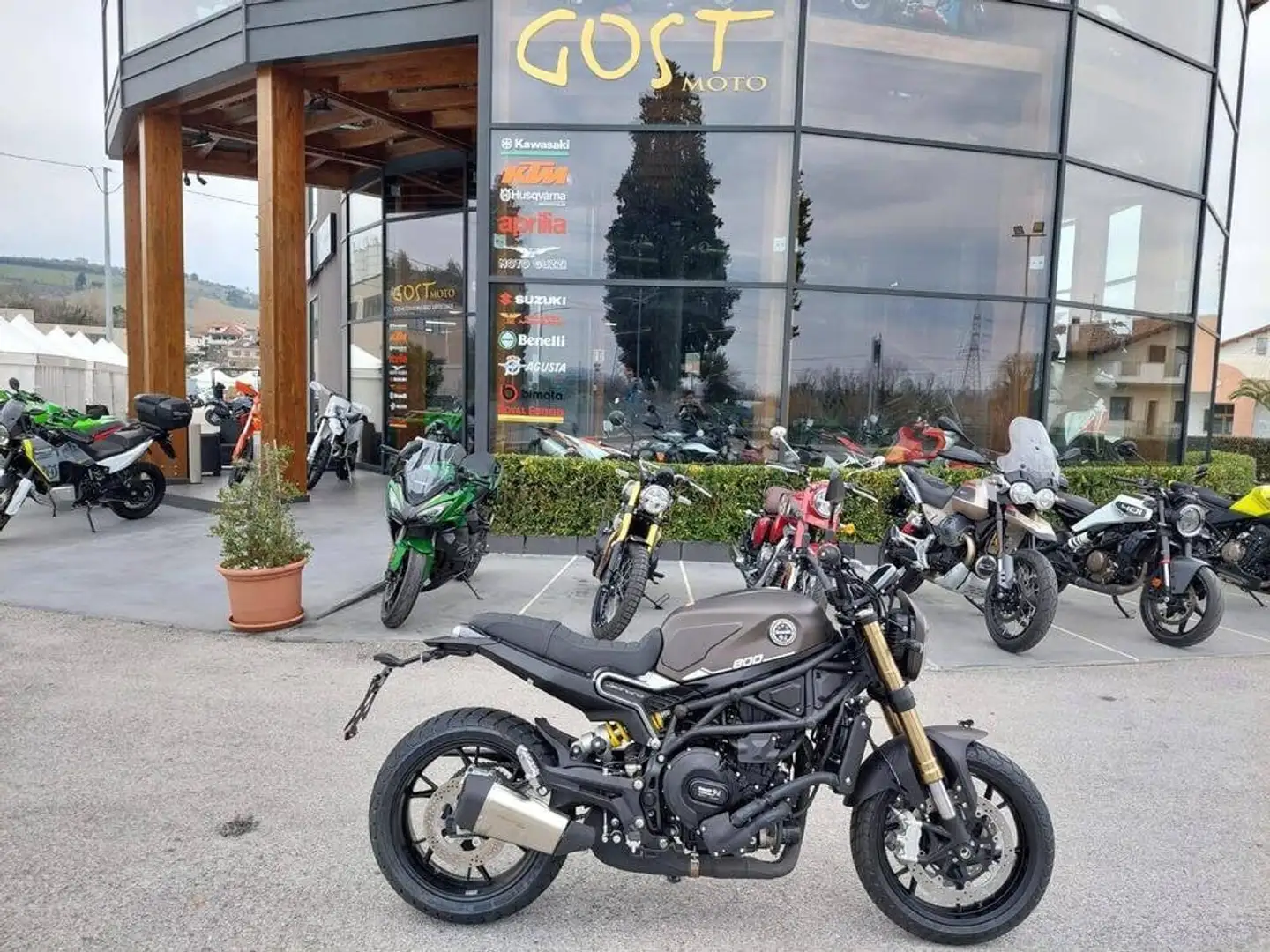 Benelli Leoncino 800 - 1