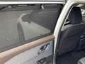 Nissan X-Trail N-CONNECTA e-POWER 214 PS ( * ALLRAD * ) Blanc - thumbnail 11