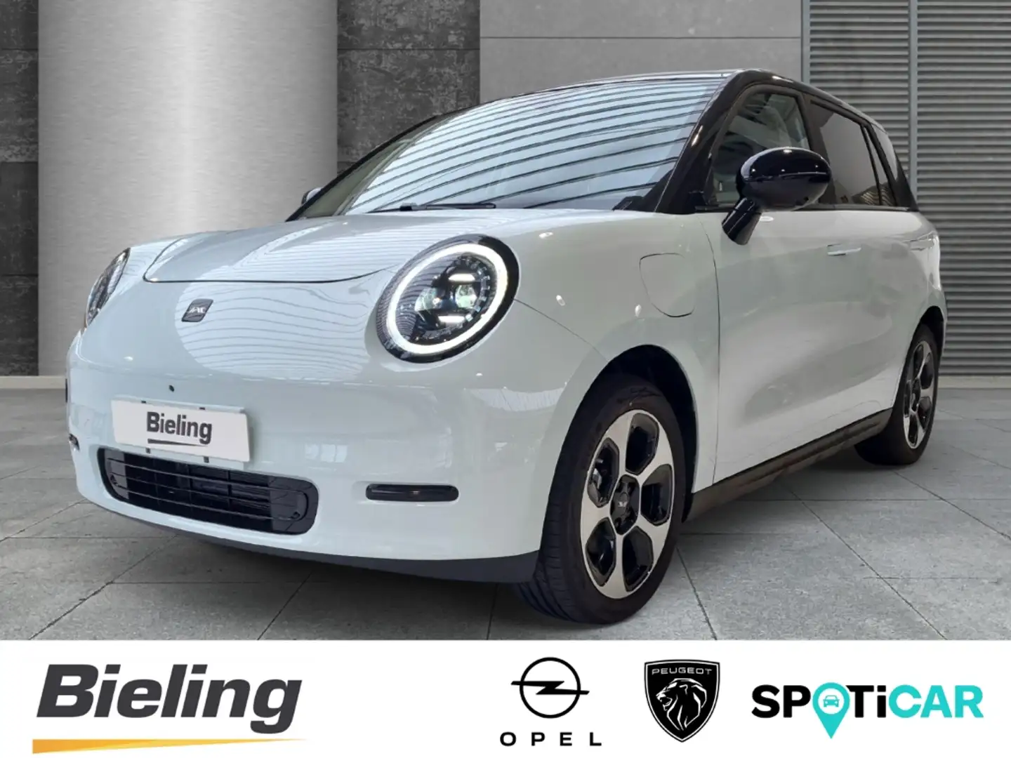 JAC Sonstige E30X Nordic Edition 50, 360° Kamera, Sitzbelüftung Weiß - 1