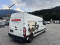 Renault Master NUR.  EXPORT. !!!!! - thumbnail 7