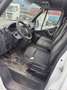 Renault Master NUR.  EXPORT. !!!!! - thumbnail 10