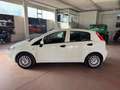 Fiat Punto Punto Lounge Blanc - thumbnail 8
