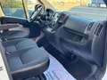 Citroen Jumper 30 2.0 L1H1 3.5T *KAMERA*KLIMA*AHK*TÜV NEU* Alb - thumbnail 14