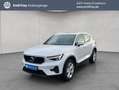 Volvo XC40 XC40 B3 B DKG Core Autom AHK RFK Navi LED GRA Weiß - thumbnail 1