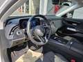 Mercedes-Benz E 200 Break Luxury Line | Panoramisch Dak | Verwarmde Ze Wit - thumbnail 4