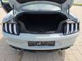 Ford Mustang 5,0 Ti-VCT V8 Mach 1 Aut. RECARO Sitze Gris - thumbnail 15