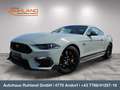 Ford Mustang 5,0 Ti-VCT V8 Mach 1 Aut. RECARO Sitze Gris - thumbnail 1