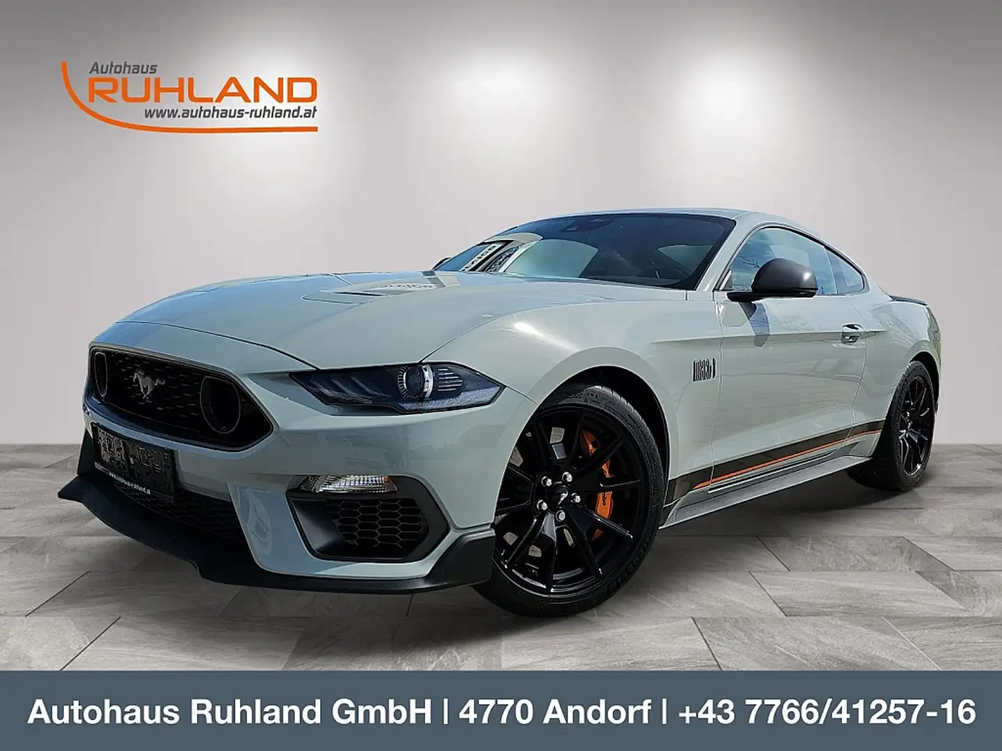 Ford Mustang 5,0 Ti-VCT V8 Mach 1 Aut. RECARO Sitze Gris - 1
