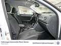 Volkswagen T-Roc 1.5 TSI R-Line DSG AHK Navi Kamera uvm Weiß - thumbnail 11