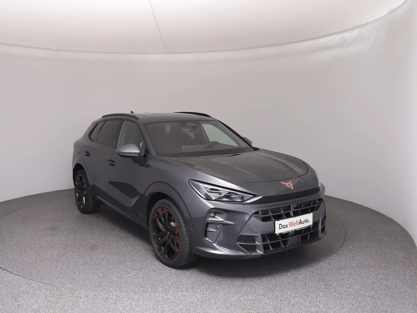 CUPRA Terramar VZ 2.0 TSI 265 PS DSG 4Drive Grau - 2