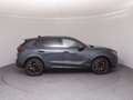 CUPRA Terramar VZ 2.0 TSI 265 PS DSG 4Drive Grau - thumbnail 27