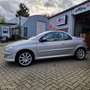 Peugeot 206 CC 2.0-16V Grijs - thumbnail 8