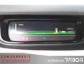 Renault ZOE Life (Rw. 240 Km) inkl. Batterie Navi PDC - thumbnail 7