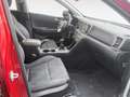 Kia Sportage 1.7CRDi VGT Eco-Dynamics Business 4x2 Rojo - thumbnail 13