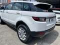 Land Rover Range Rover Evoque Dynamic Automatico Pelle beige Bianco - thumbnail 10