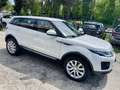 Land Rover Range Rover Evoque Dynamic Automatico Pelle beige Bianco - thumbnail 4