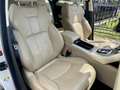Land Rover Range Rover Evoque Dynamic Automatico Pelle beige Bianco - thumbnail 9