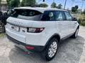 Land Rover Range Rover Evoque Dynamic Automatico Pelle beige Bianco - thumbnail 11