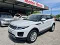 Land Rover Range Rover Evoque Dynamic Automatico Pelle beige Bianco - thumbnail 1
